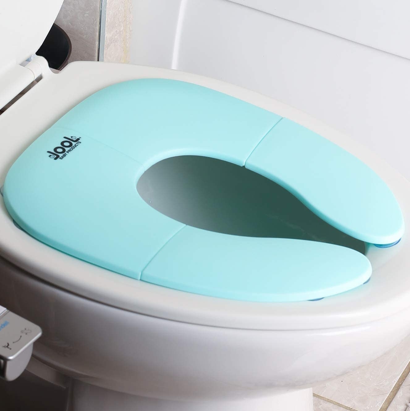 The seat on a toilet