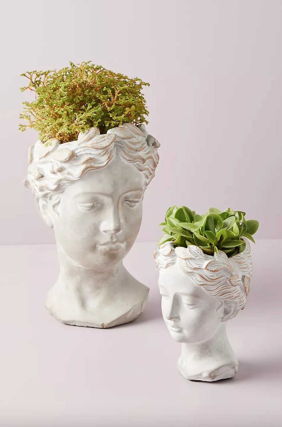 the two sizes of head-shaped pots, both with plants in the top