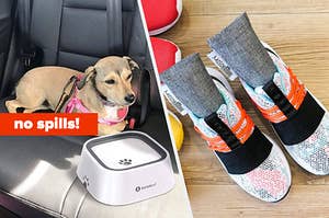 A dog laying on a car seat with a no-spill water bowl in front of it and a pair of shoes with deodorizers in them