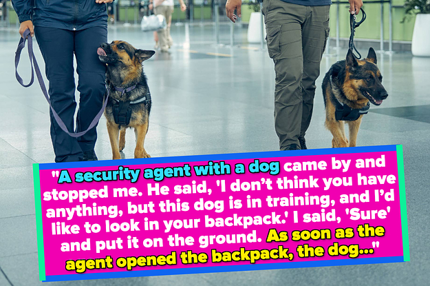 People Are Revealing The Wildest And Most Frustrating Experiences They Had With A TSA Agent, And This Will Make Any Traveler Lose Their Mind