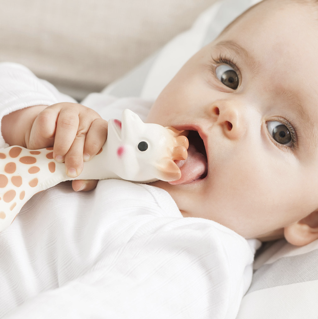 A baby with a Sophie the Giraffe teether