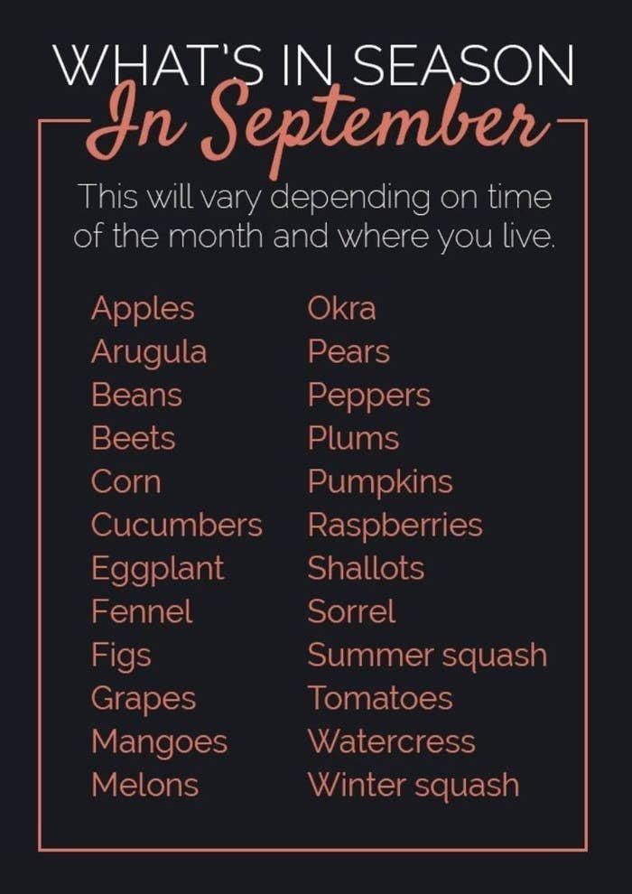 Fall foods in season