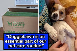 L: a reviewer photo of a shipping box that says "DoggieLawn", R: a reviewer photo of a small tan and white dog and a quote reading "DoggieLawn is an essential part of our pet care routine."