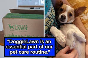 L:一张写着“DoggieLawn”包装盒的评论照片，R:一张写着一只棕白色相间的小狗的评论照片，上面写着“DoggieLawn是我们宠物护理程序中必不可少的一部分。”