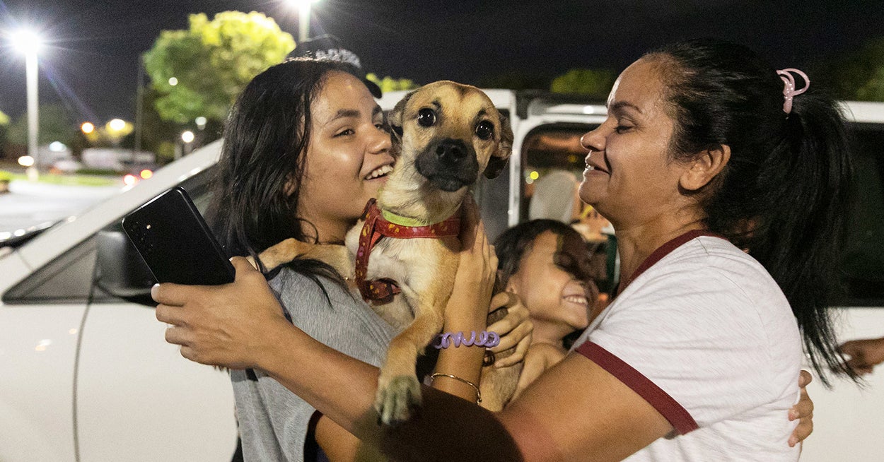 Volunteers Help Reunite Dogs With Immigrant Owners After They Get Separated At US Border