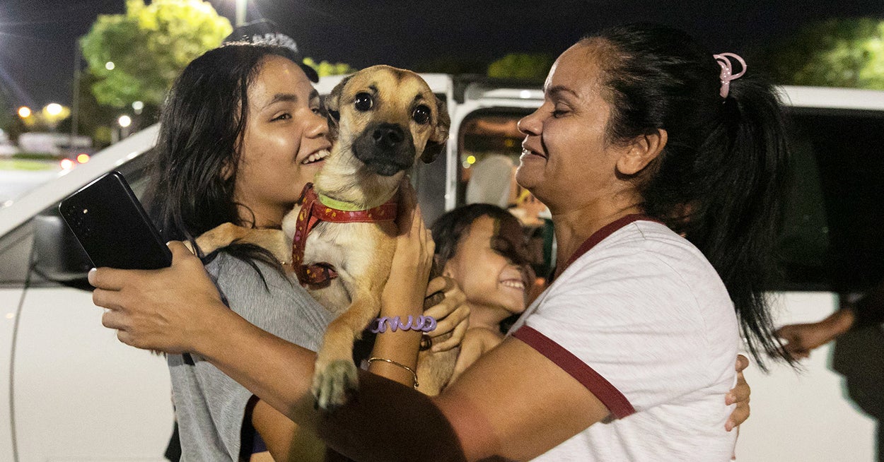 Volunteers Help Reunite Dogs With Immigrant Owners After They Get Separated At US Border