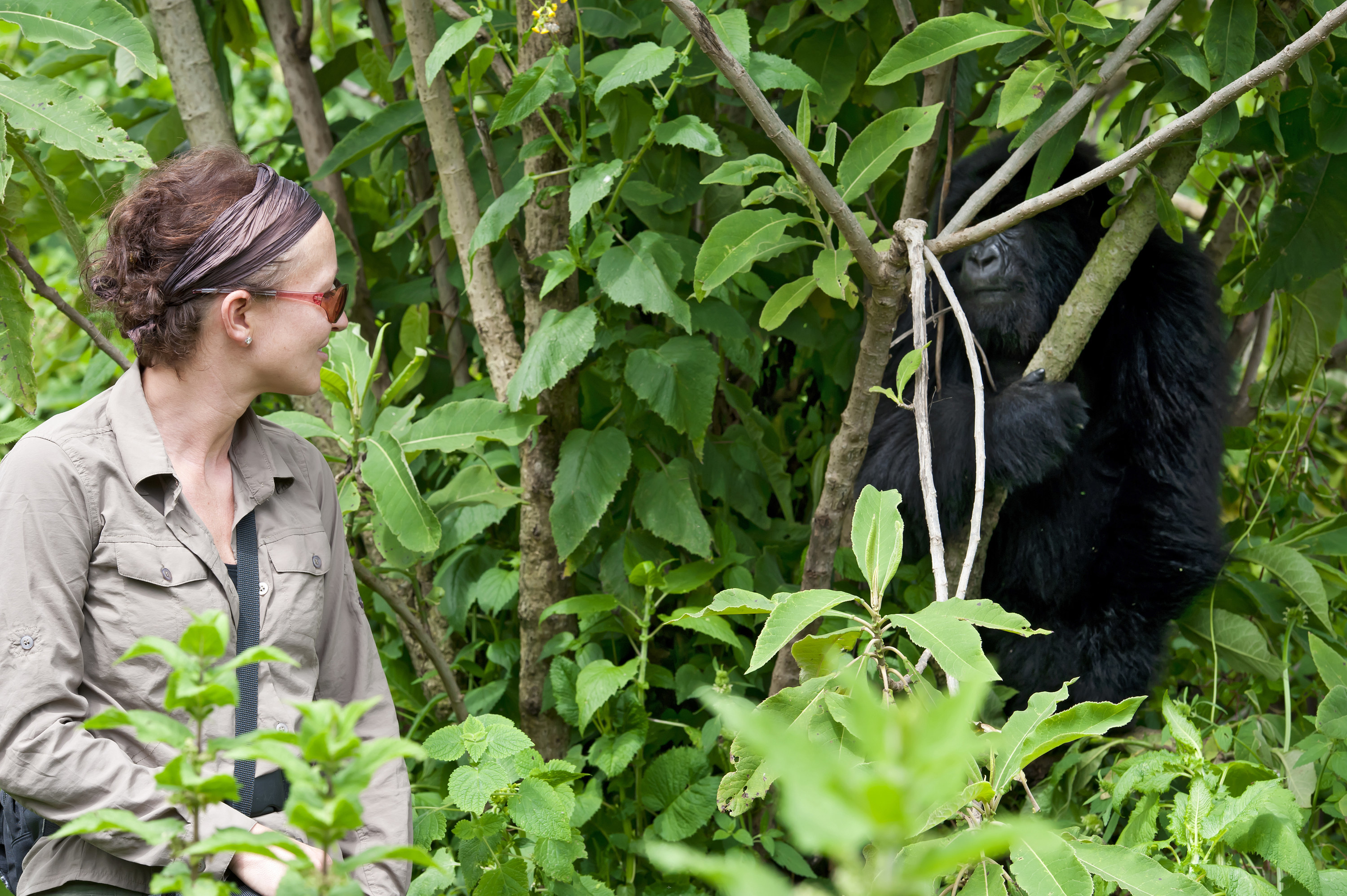 a woman looking at a gorilla in the jungle