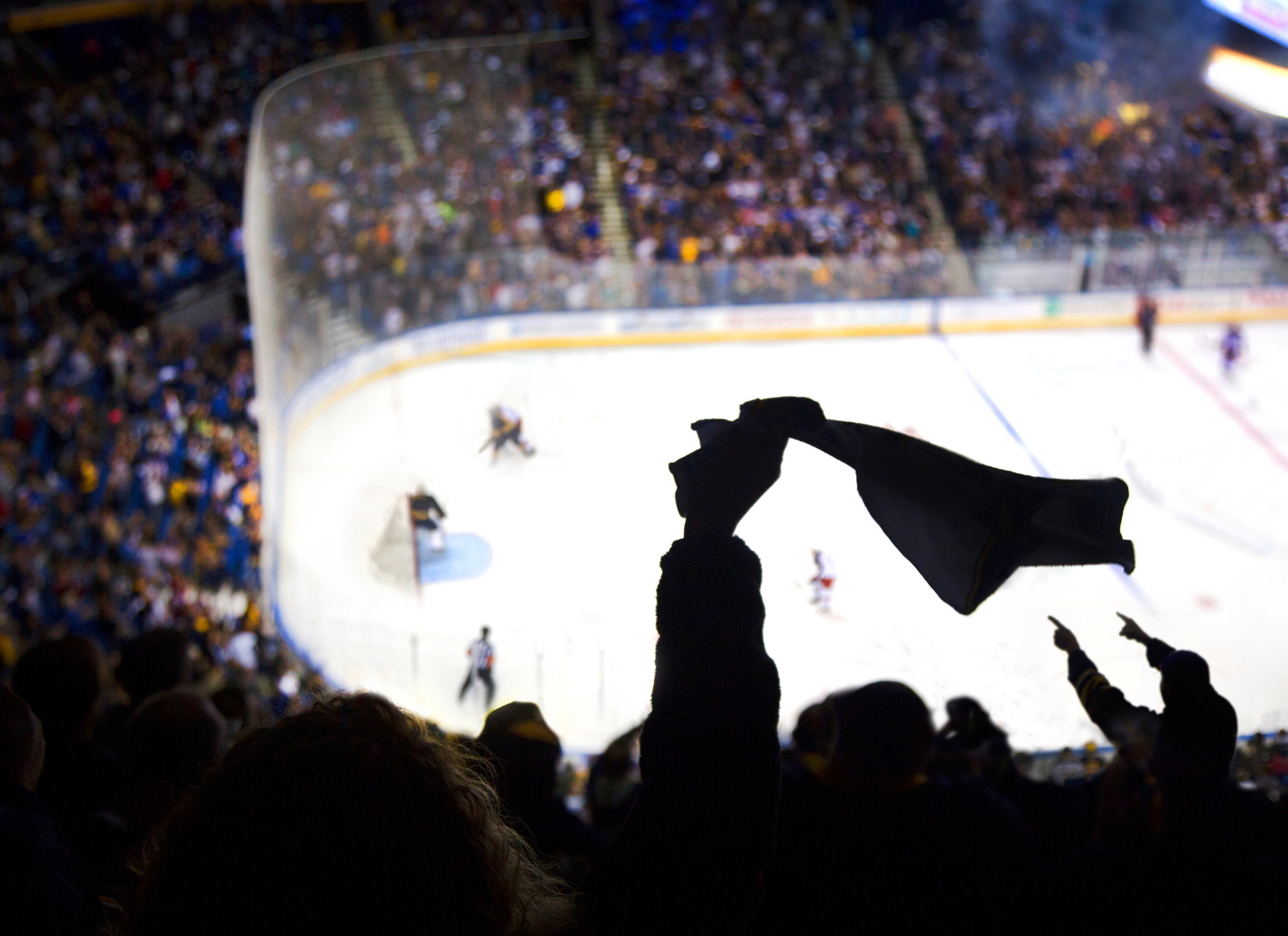 People cheering at a hockey game