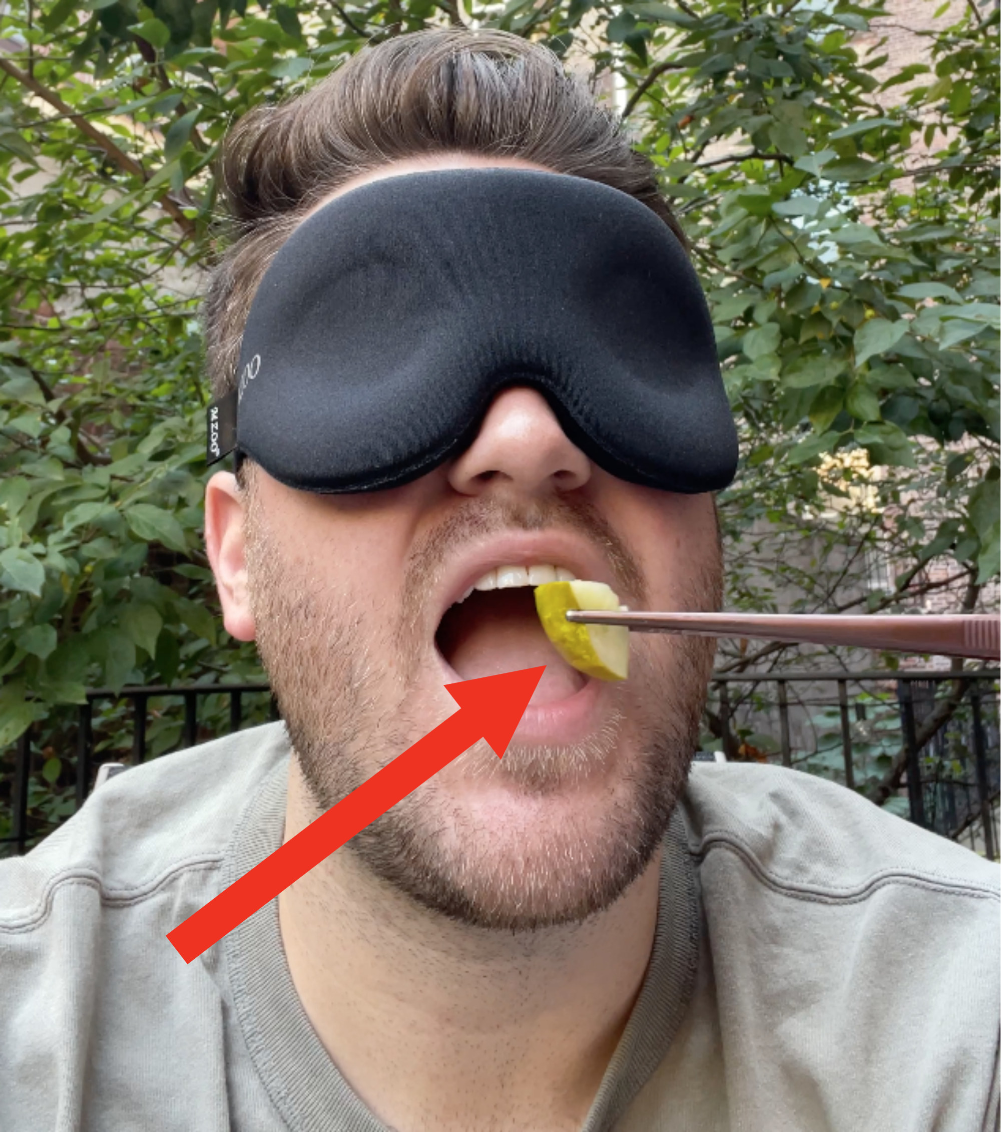 author blindfolded and trying a pickle
