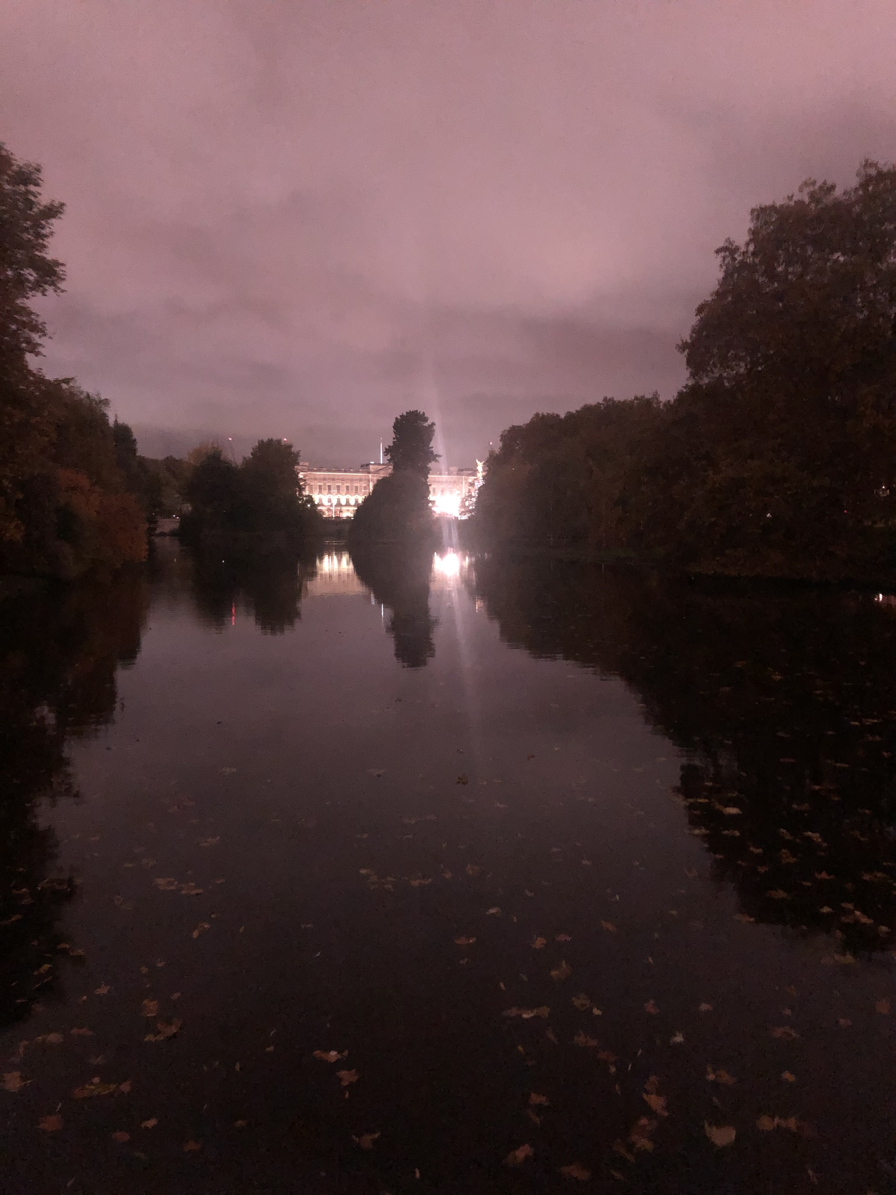 Buckingham Palace seen through a dark park in London