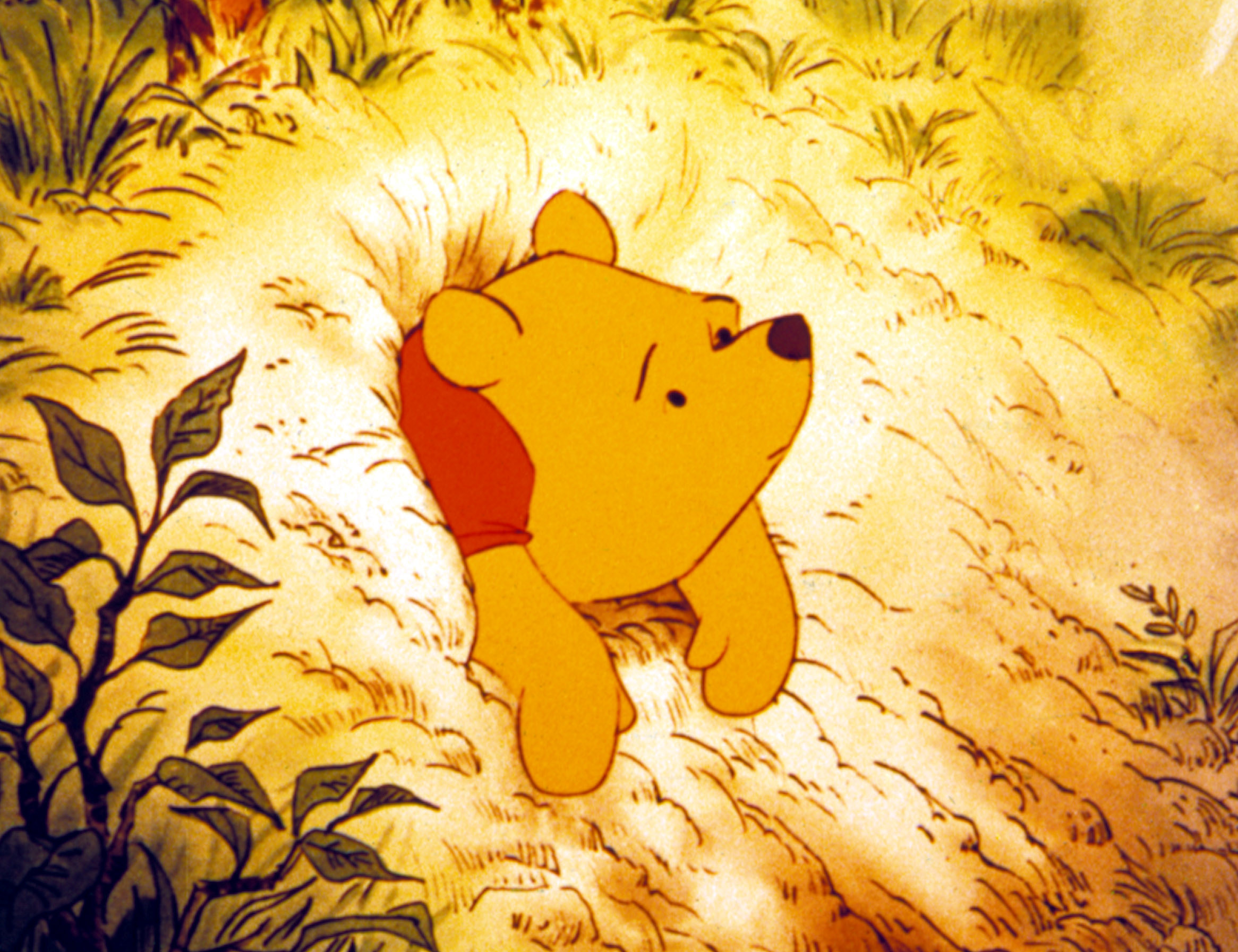 Winnie the Pooh stuck in a honey tree