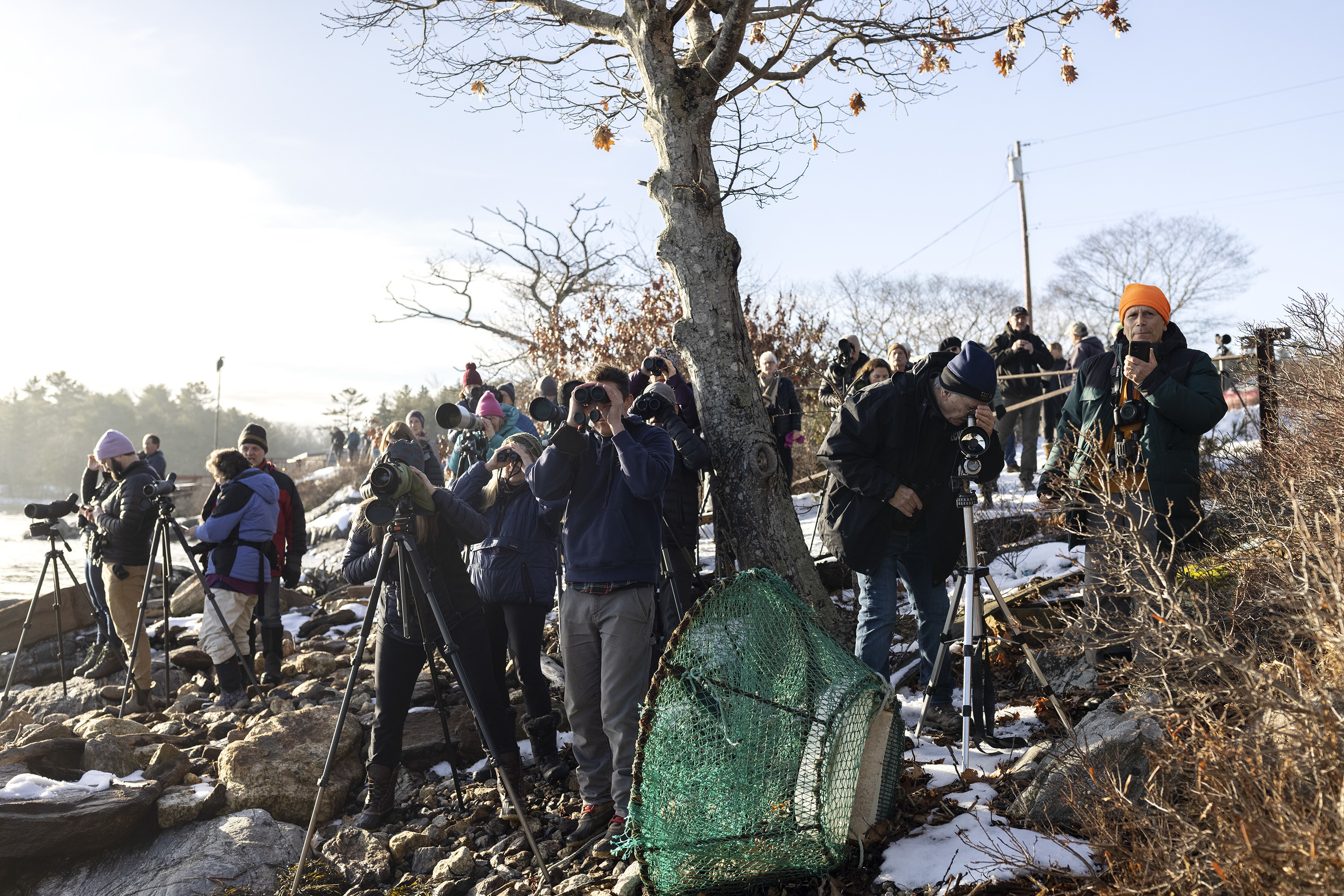 Birders watch a Steller&#x27;s sea eagle in Georgetown, Maine on Friday, December 31, 2021.