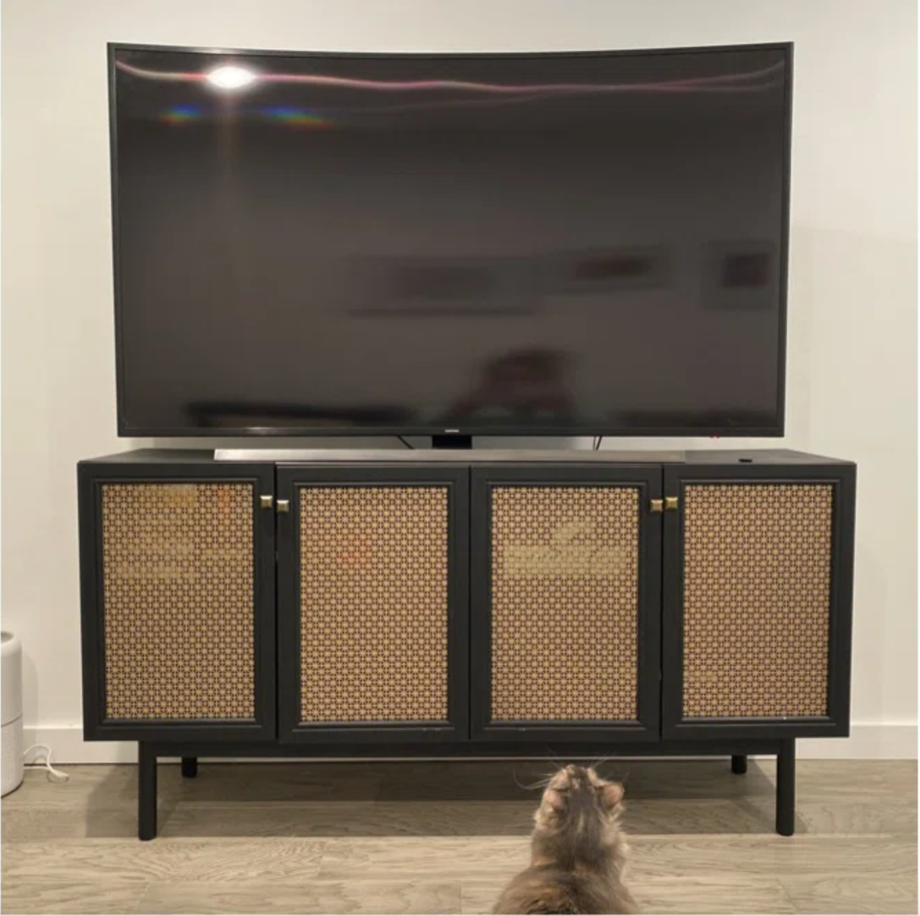 a reviewer photo of the TV stand in black with a cat looking at it