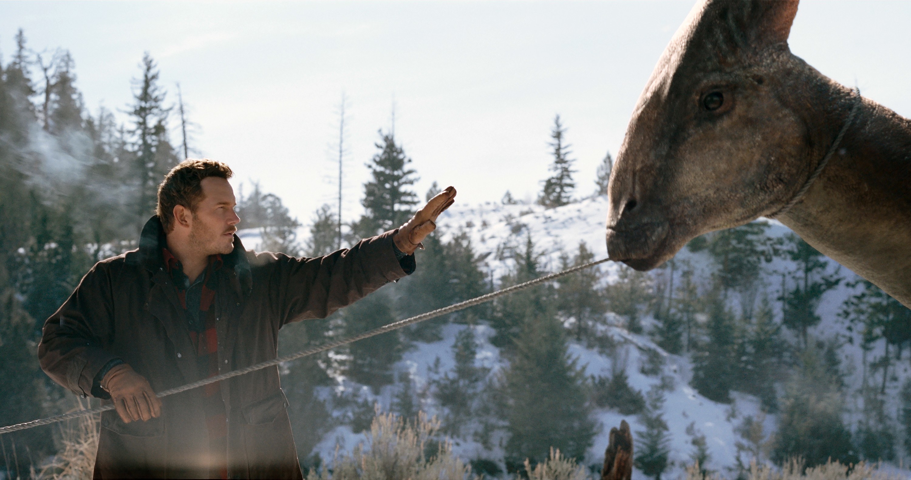 Chris Pratt holding up his hand to a dinosaur.