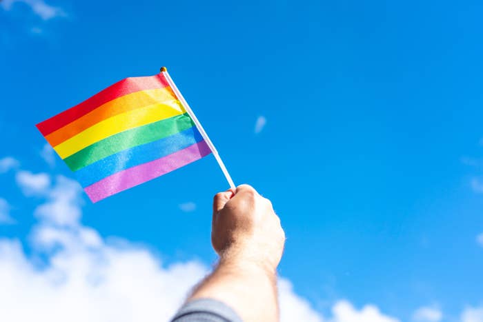 Waving LGBT flag in hand against a cloudy sky
