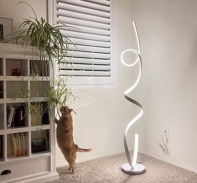a reviewer photo of the lamp in a corner next to a cat