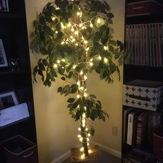 an indoor tree covered with the globe lights