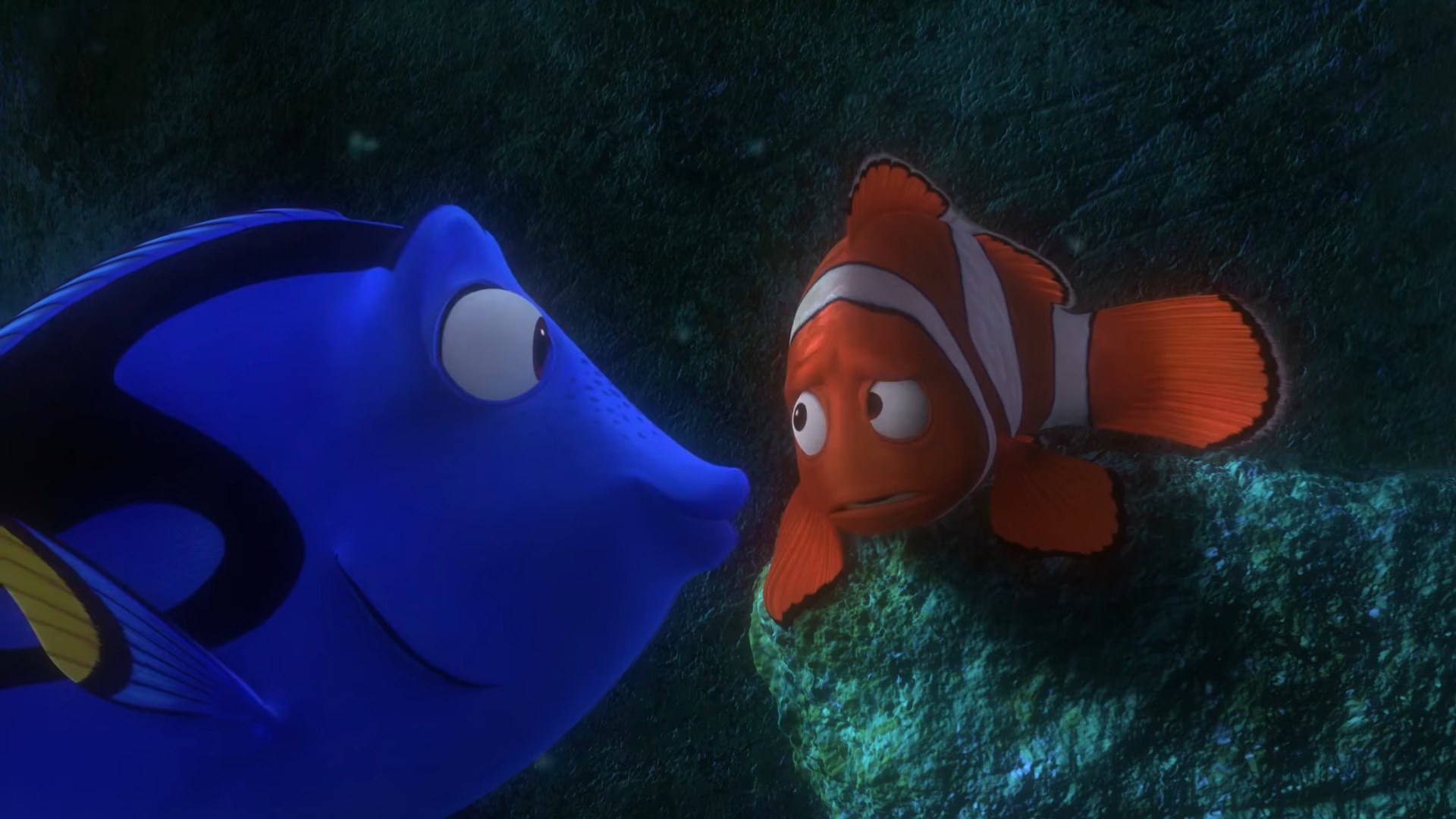 海鲂做出可爱的脸在“马林找到Nemo"