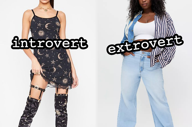 introvert and extrovert
