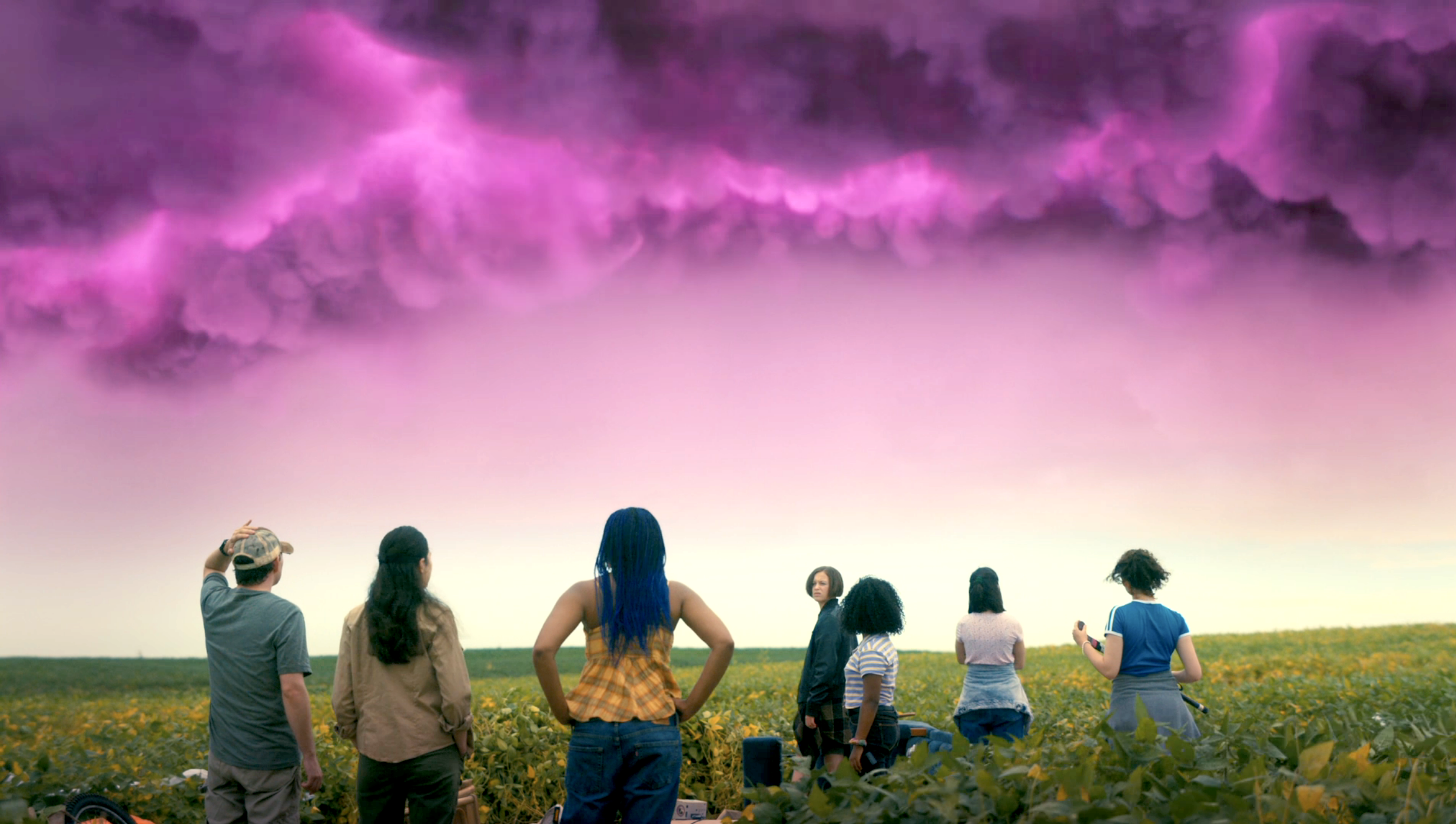 characters in a field as the sky turns purple