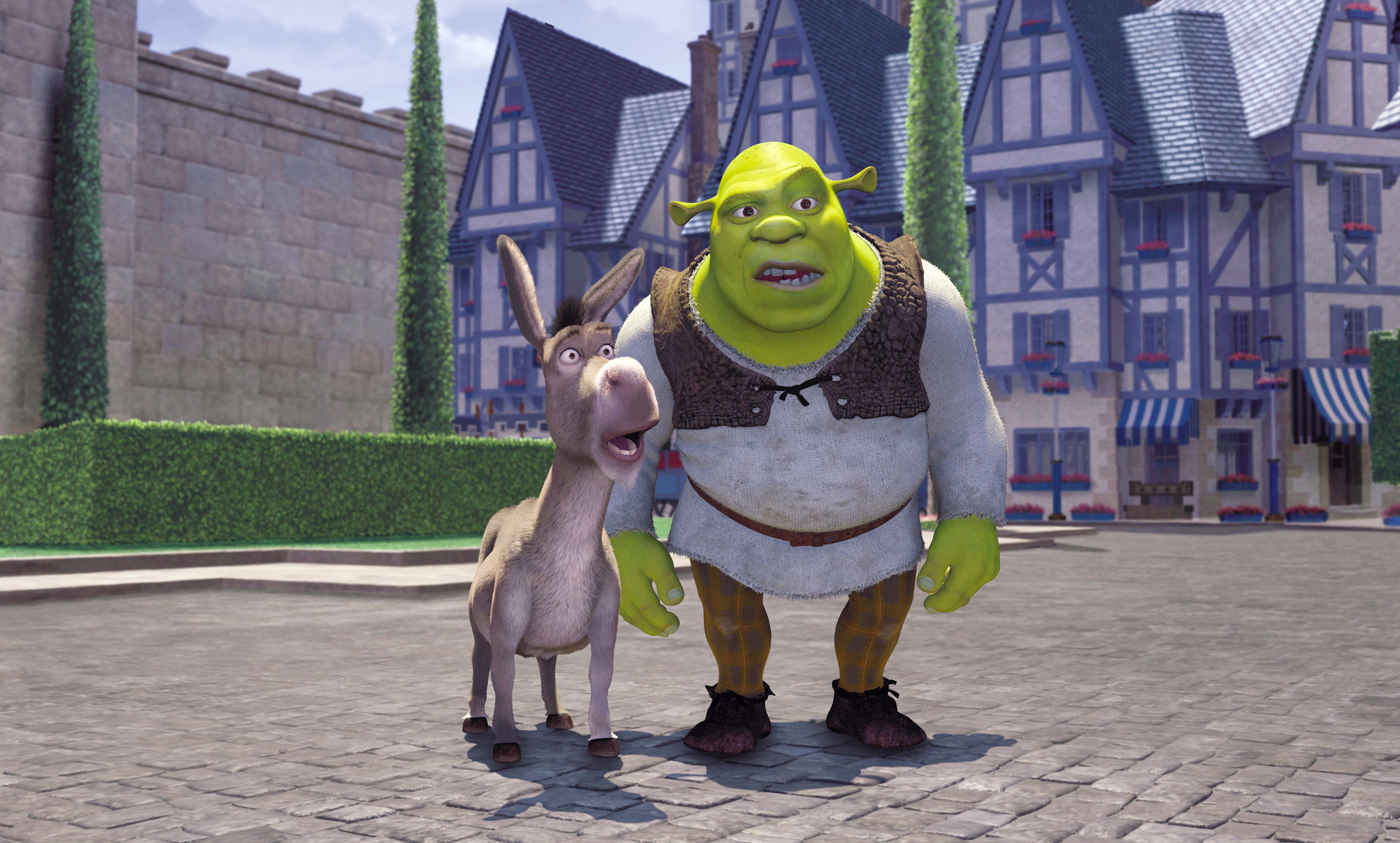 Donkey and Shrek looking confused.