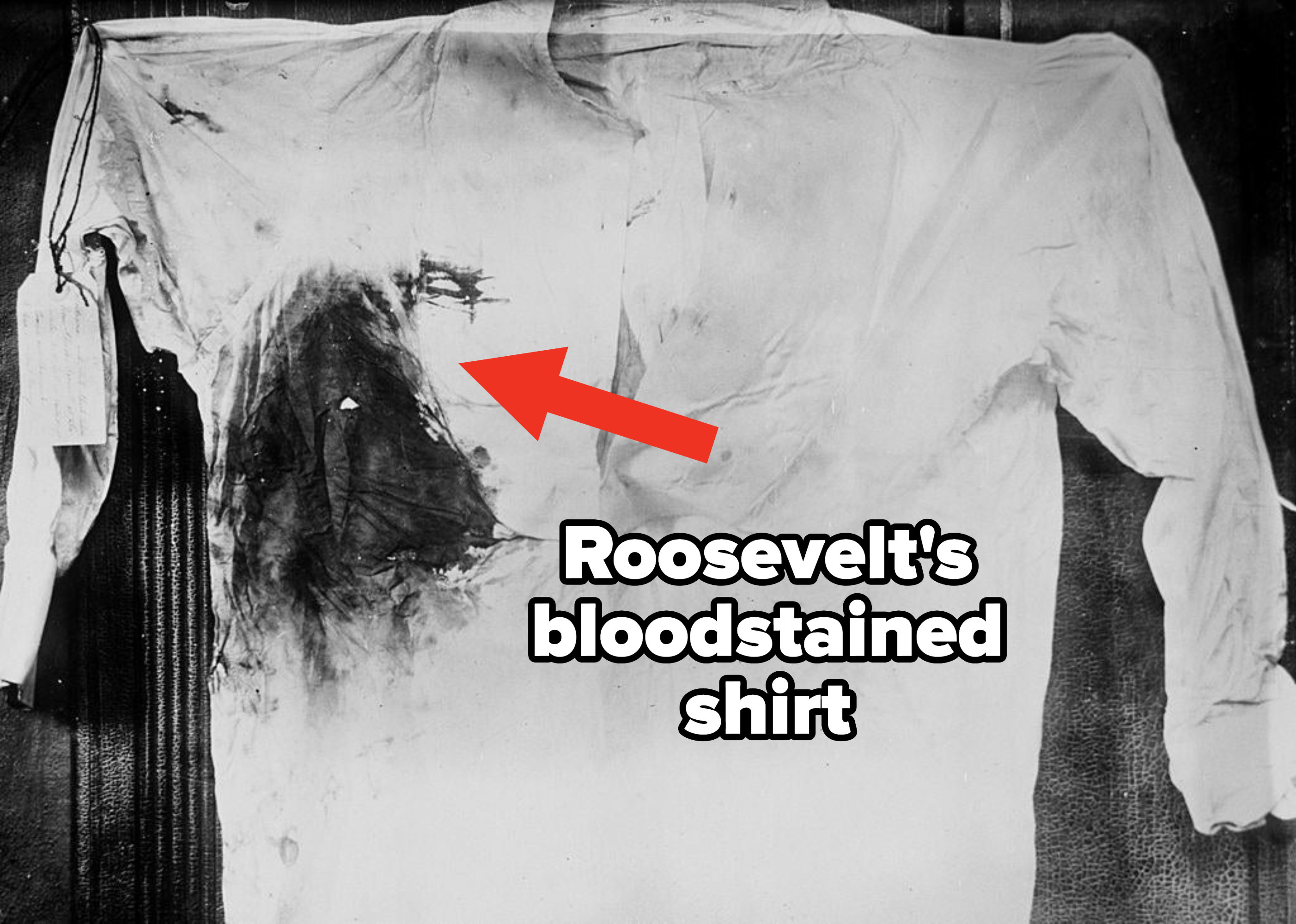 A photo of Roosevelt&#x27;s bloodstained shirt he wore to his speech; a bullet hole can be seen in the center of a circle of blood