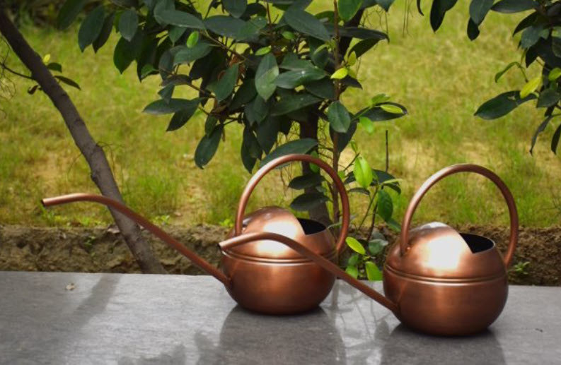 two copper finished watering cans