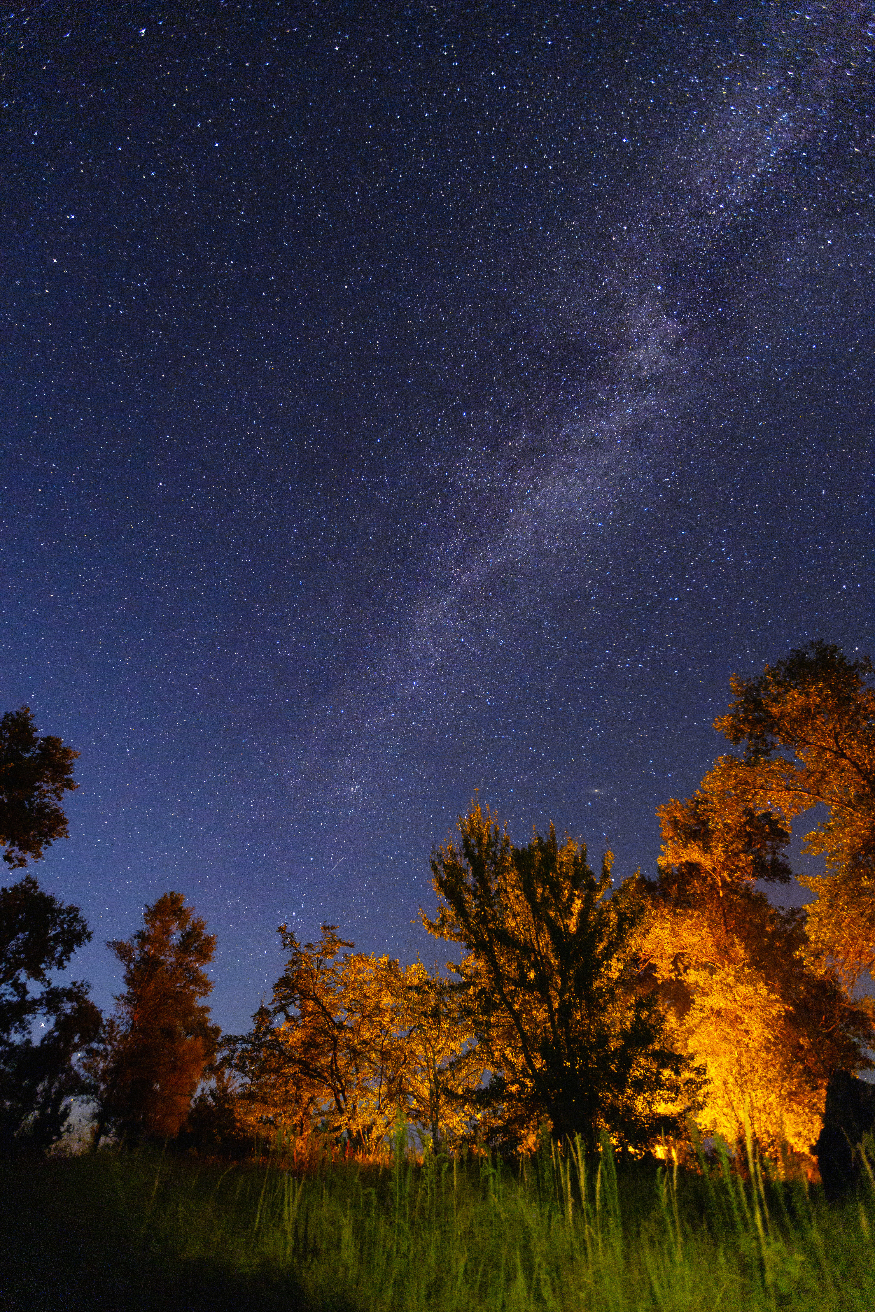 Country landscape at night with trees illuminated by a campsite, lots of stars and the Milky Way is visible above