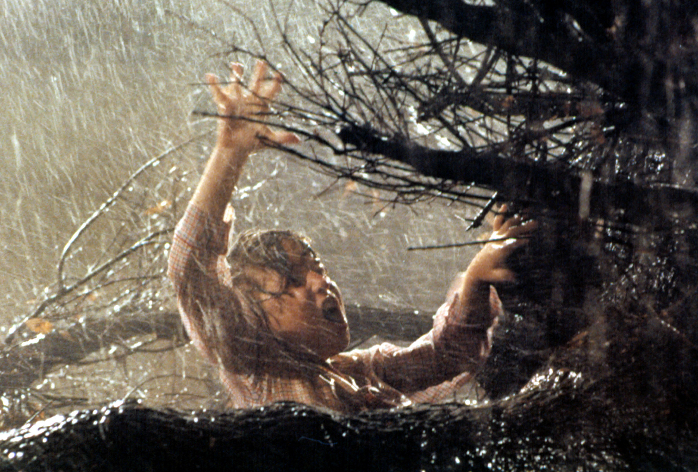 A little girl entangled with an evil tree in the rain