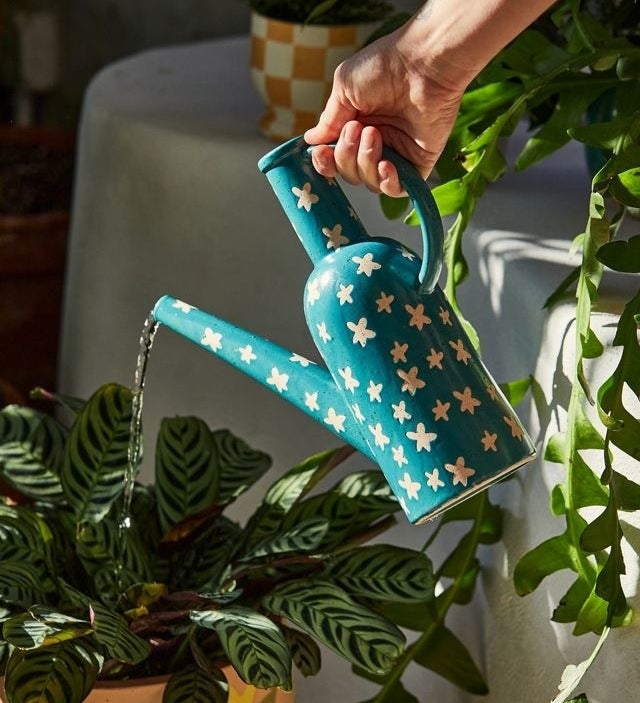 a person watering a plant with a decorative, floral-patterned watering can