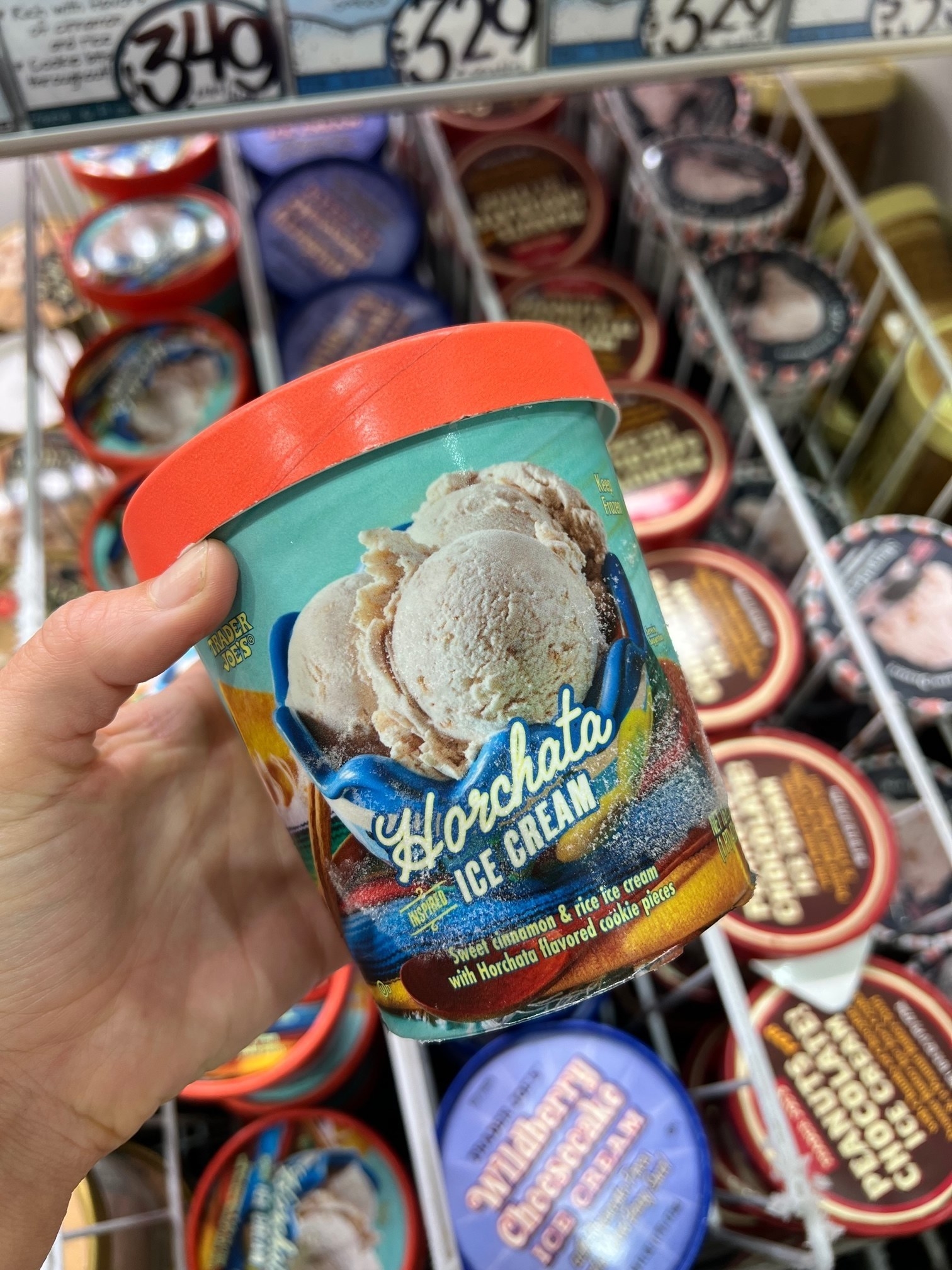 Horchata Ice Cream