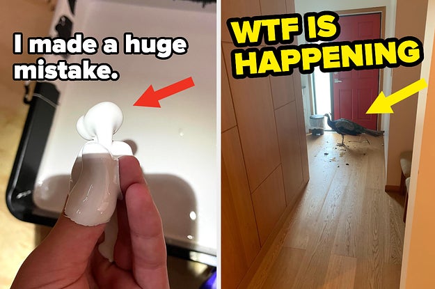 I Honestly Feel Sorry For These 20 People Having A Really, Really Bad Week - Vimarsana News