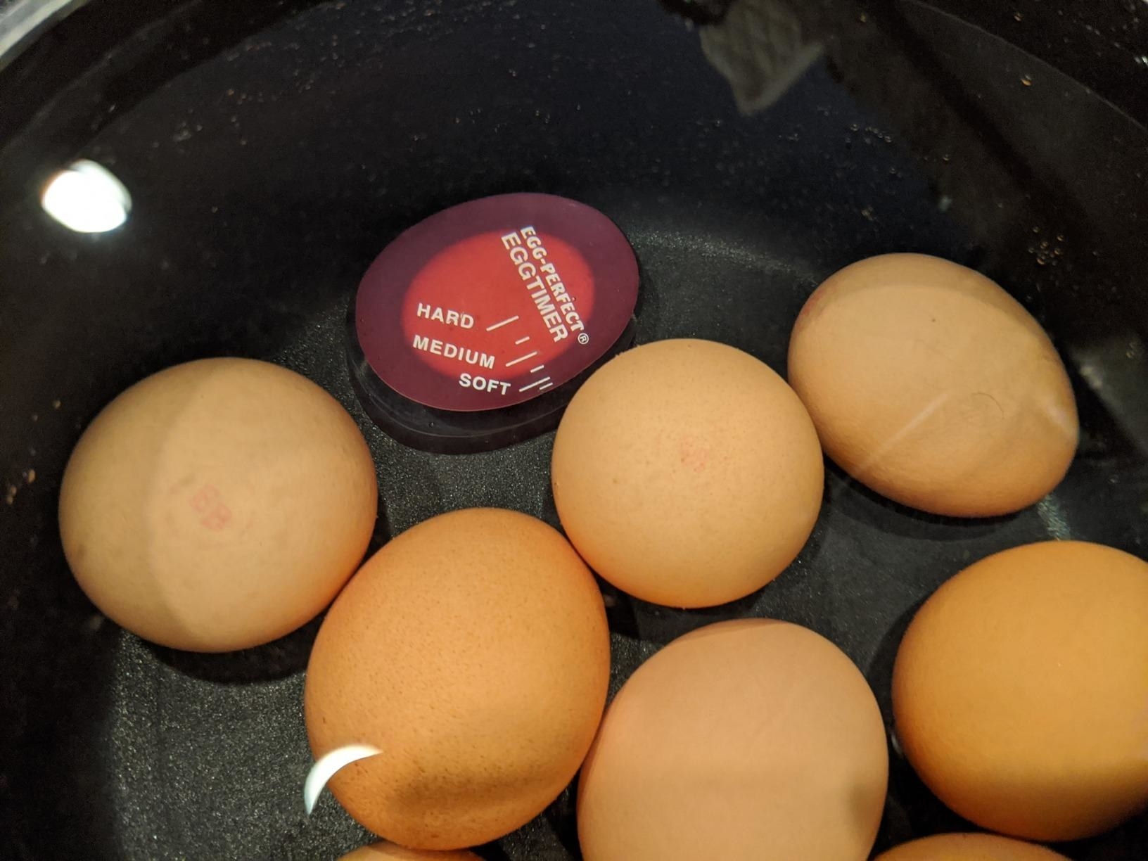 The egg timer in a pot of eggs boiling