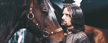 aragorn from lord of the rings petting brego