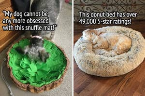 snuffle mat on the left and donut bed on the right