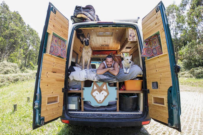 The back doors of a van are open to reveal a man laying on a mattress which is perched on a storage shelf, he has two dogs next to him