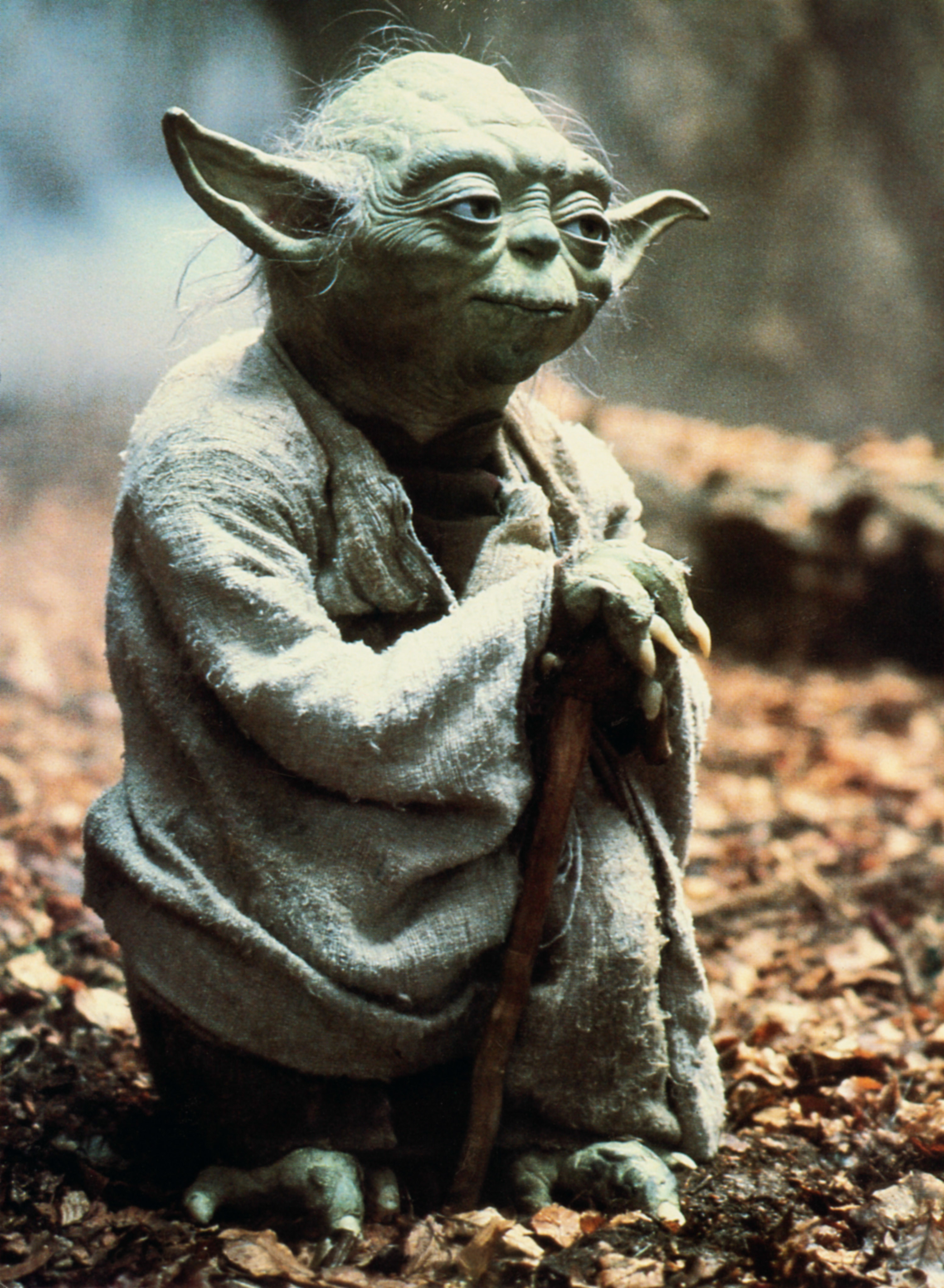 Better than making love what is? Hate sex yes. Hmm. - Yoda