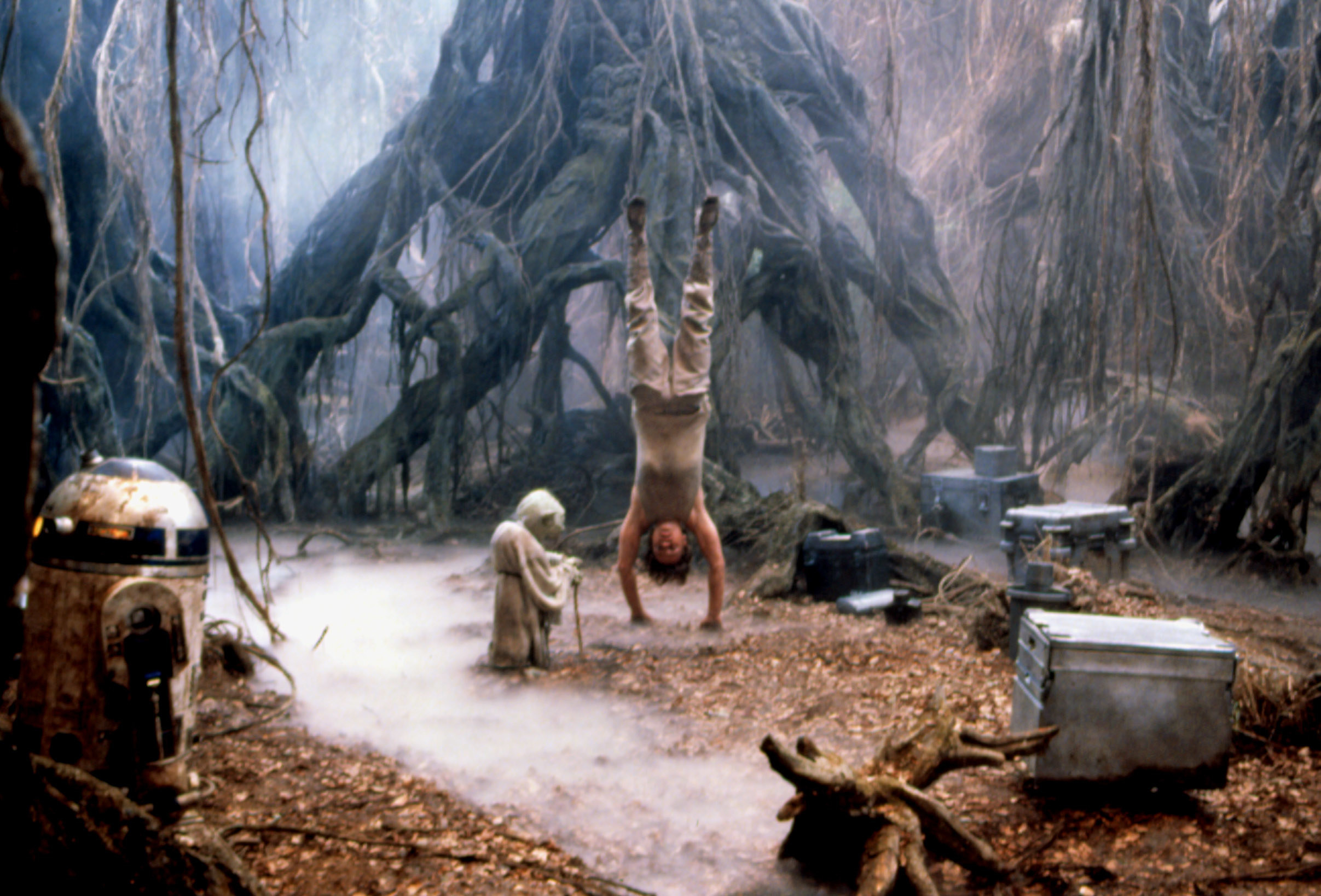 Yoda looks at Mark Hamill turned upside down