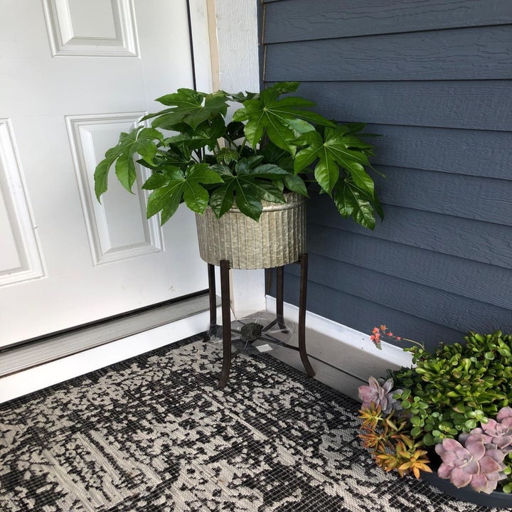 Another reviewer's photo showing the textured plant stand outside front door with plant