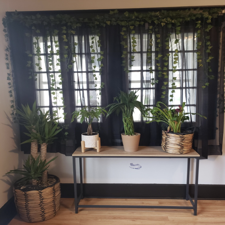 indoor window with plants on a table and vines hanging from the wall