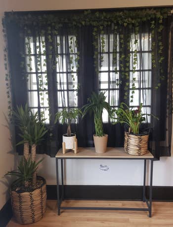 indoor window with plants on a table and vines hanging from the wall
