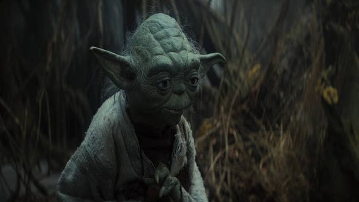 Yoda looks at someone