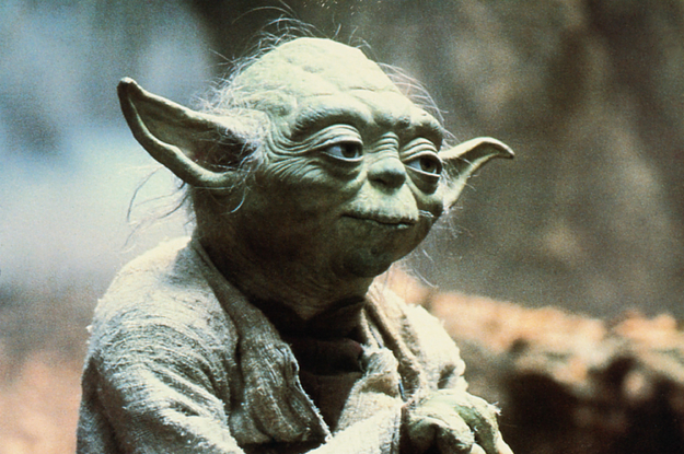 50 Of The Best Yoda Quotes That Still Stick With Us