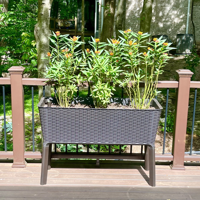 a reviewer photo of the planter on a deck