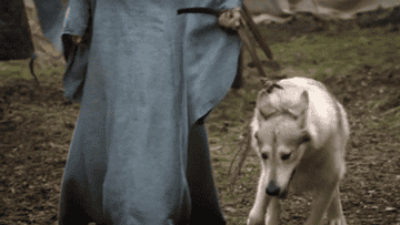 sansa stark with lady the direwold