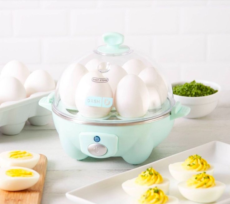 Dash egg cooker with a plate of deviled eggs next to it