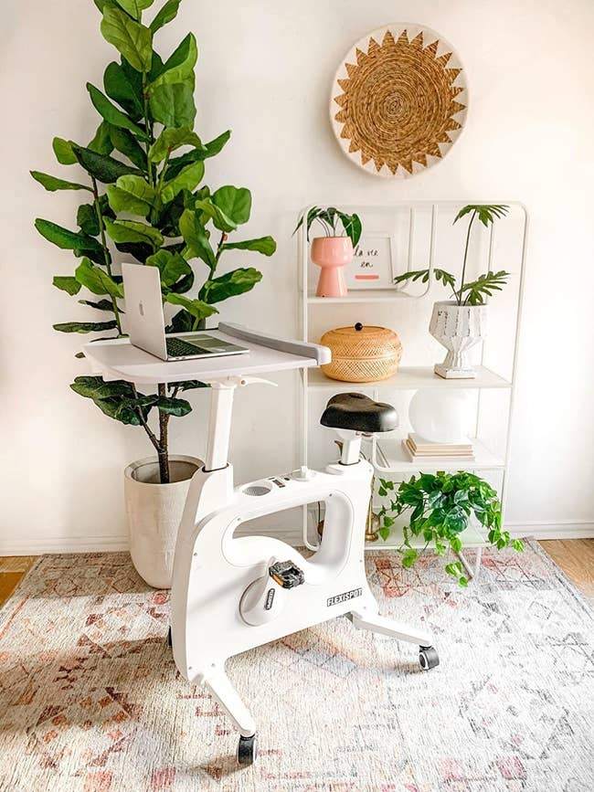 reviewer pic of white stationary desk bike on carpet in front of tall plant and decorated bookshelf