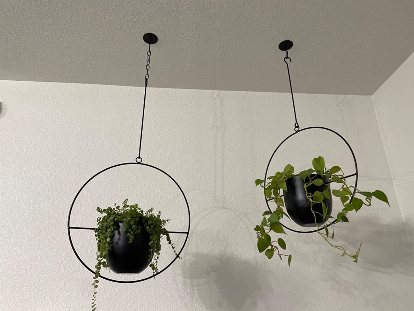 reviewer image of two hanging planters with circle metal frames
