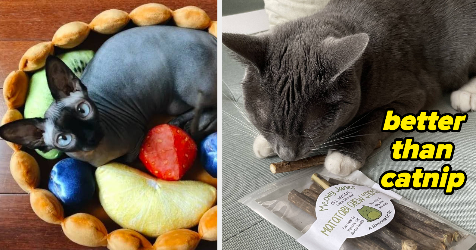 Gifts for store cat lovers buzzfeed