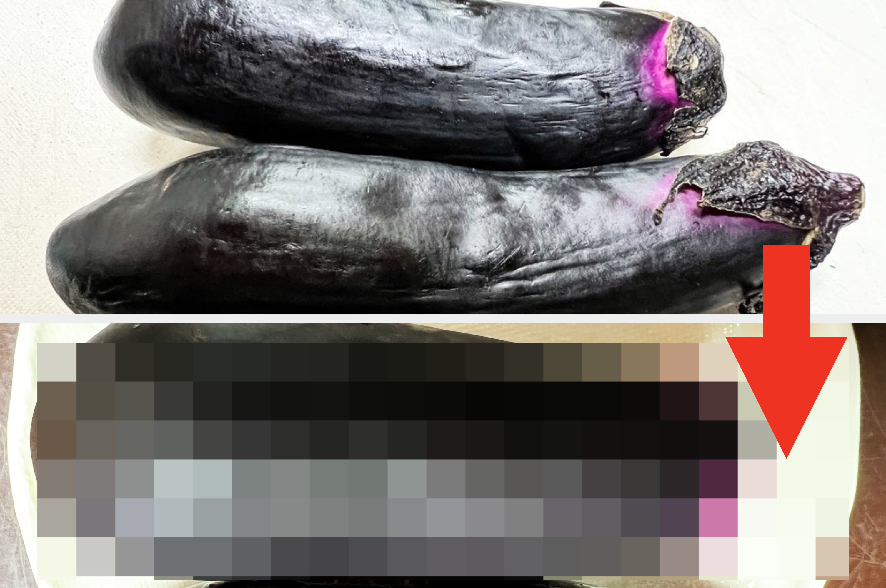 落ちてる茄子 農家からのお願いです！！！「しなびたナスはこうすると復活する